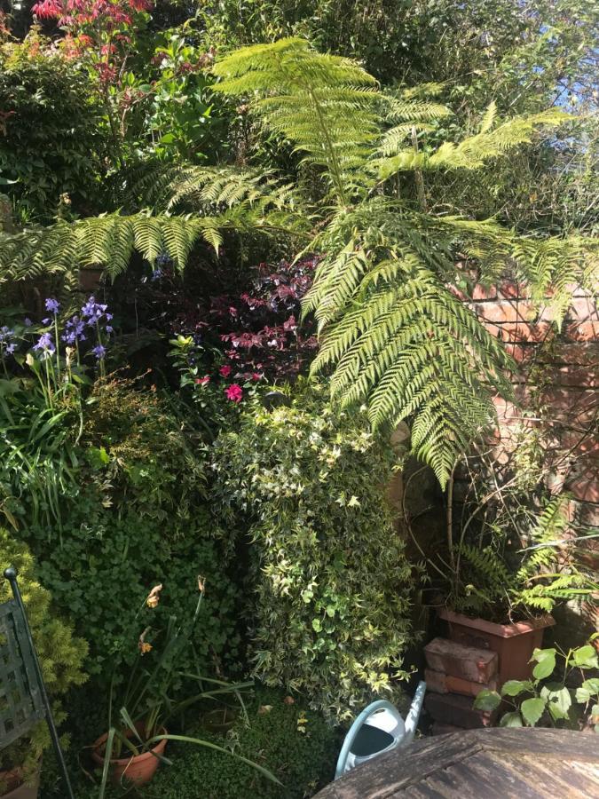 1920'S House. Private En Suite Sitting Room . Dog Friendly Teignmouth Exterior foto